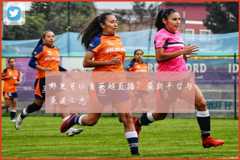 哪里可以看英超直播？最新平台与渠道汇总
